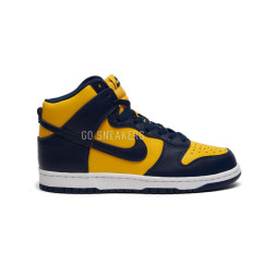Nike Dunk Nike High Michigan (2020)