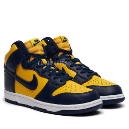Nike Dunk Nike High Michigan (2020)