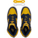 Унисекс кроссовки Nike Dunk Nike High Michigan (2020)